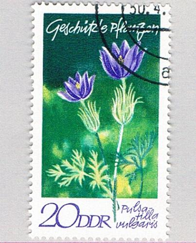 Germany DDR 1195 Used Pulsatilla vulgaris Flower 1970 (BP80224)