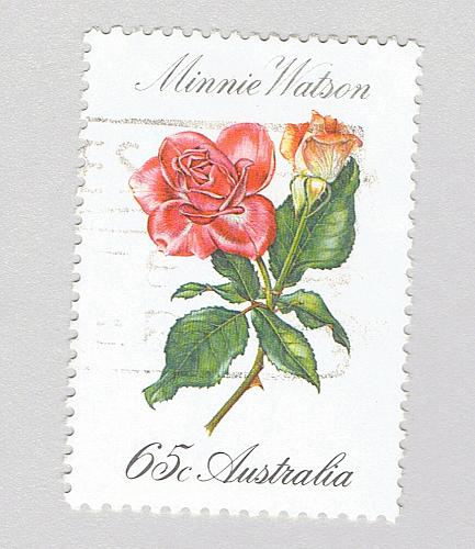 Australia Rose red 65 Used (BP91301)