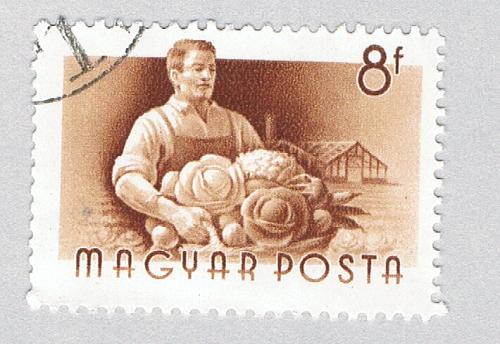 Hungary 1116 Used Worker 1955 (BP83705)