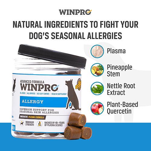 WINPRO Dog Allergy Relief Chews – Plasma-Powered Soft Chews for Dogs – Grain-...