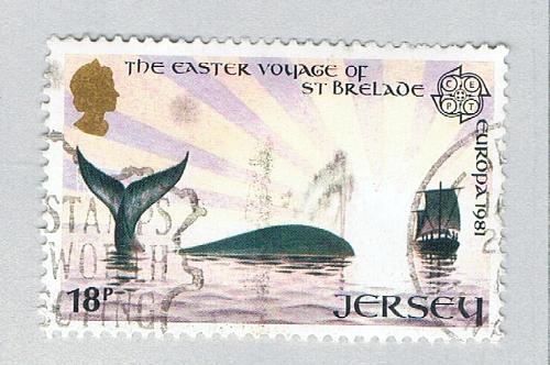 Jersey Whale pink 18f (AP134307)