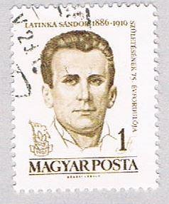 Hungary Man dk brown 1 (AP111514)