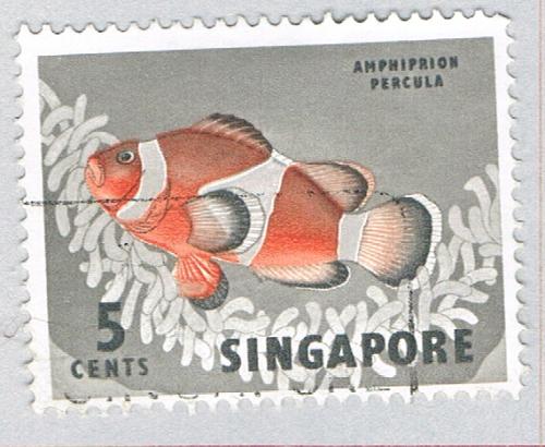 Singapore Fish orange 5c 1 (AP126211)