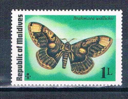 Maldives 584 Unused Butterfly 1975 (M0359)+
