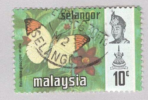 Malaysia Selangor 132 Butterflies Used 3 (BP98403)