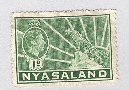 Nyasaland 55A Leopard Used 1 (BP97601)