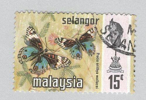 Malaysia Selangor 133 Butterflies Used 2 (BP96914)