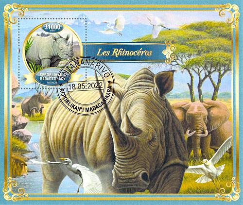 Madagascar 2022 Sheet Rhinoceros Rhino animal 1 value (TS0103)