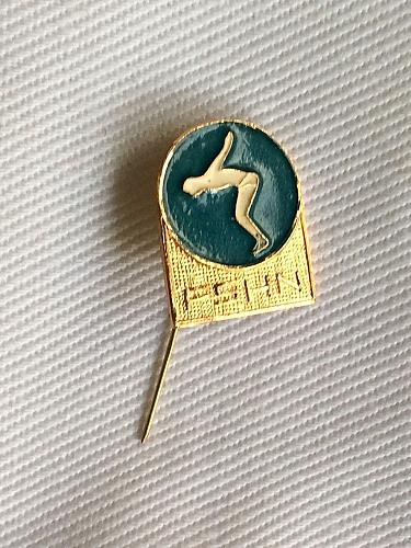 Albanian Swimming Federation. Rare sport pin, badge