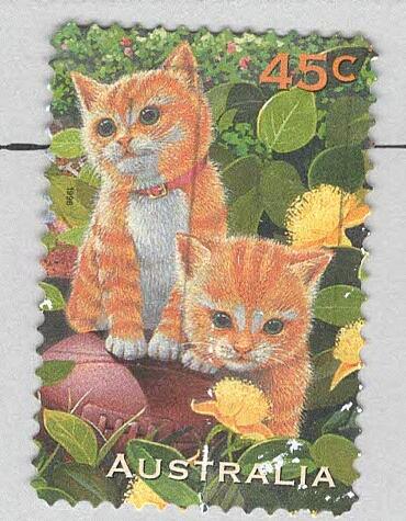Australia 1562 Kittens Used (BP96203)