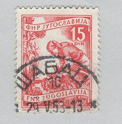 Yugoslavia 384 Gathering Sunflowers Used 2 (BP95202)