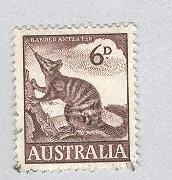 Australia Banded anteater brown 6 Used (BP90035)