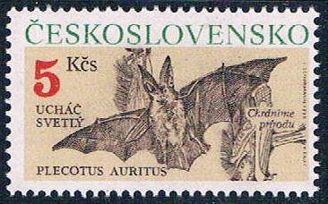 Czechoslovakia 2807 Unused Plecotus auritus CV 2.25 (C0263)+