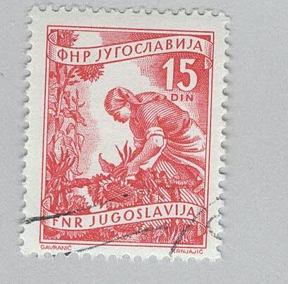 Yugoslavia 347 Gathering Sunflowers Used (BP95104)
