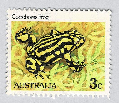 Australia Frog yellow 3 Used (BP89326)