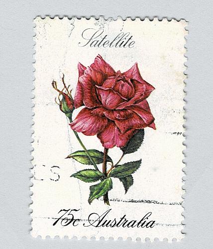 Australia Flower rose red Used (BP90208)