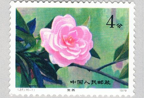 China PR 1530 Unused Flower Rosed 1979 CV 5.25 (BP66911)