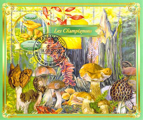Madagascar 2022 Sheet Mushrooms plants fungi 1 values (TS0065)