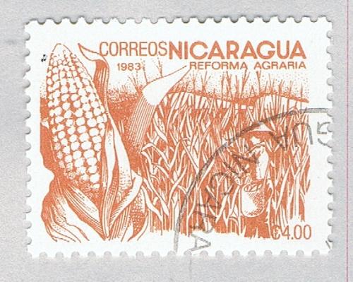 Nicaragua Corn mocca 400c (AP121416)-2