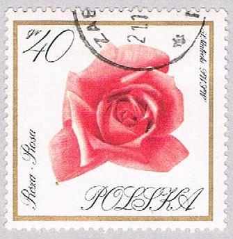 Poland Flowwers 40 (AP115811)