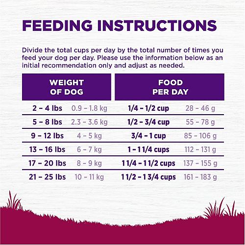 Wellness Complete Health Small Breed Dry Dog Food with Grains Natural Ingredi...