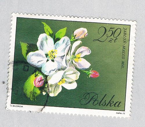 Poland Flower green 250za (AP134808)
