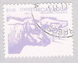 Nicaragua Cattle 600 (AP107433)