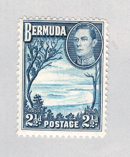 Bermuda 120 MLH Grape Bay 1938 CV 8.50 (BP64503)
