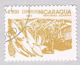 Nicaragua Bananas 1000 (AP107407)