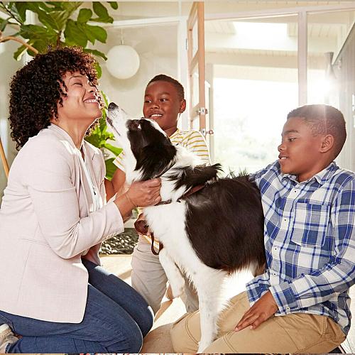 Filtrete 20x20x1 AC Furnace Air Filter MERV 5 MPR 300 Capture Unwanted Partic...