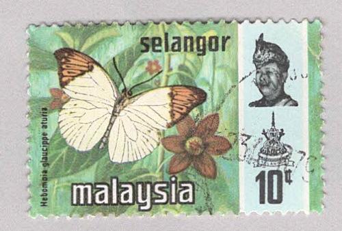 Malaysia Selangor 132 Butterflies Used 2 (BP98402)