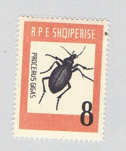 Albania 662 MNH Beetle 1963 CV 7.50 (BP74417)