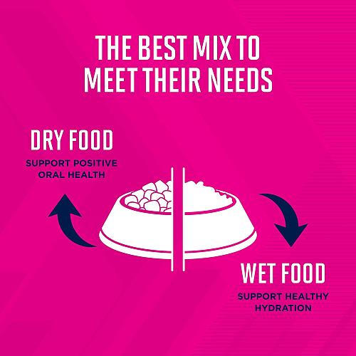 Eukanuba Premium Performance 30/20 Sport Dry Dog Food Dry Dog Food with Prote...