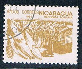 Nicaragua Corn 10 (NP7R403)