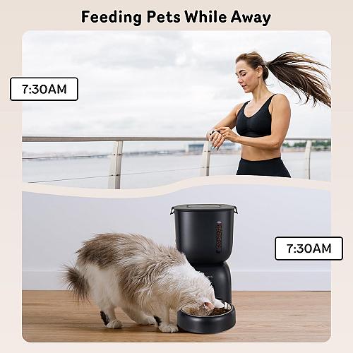 Automatic Cat Feeder and Cat Water Dispenser FW1 Wire or Battery Cat Food Dis...