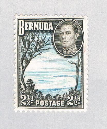 Bermuda 120A MLH Grape Bay 1938 CV 2.50 (BP64505)