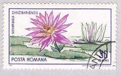 Romania Flower 30 (AP114402)