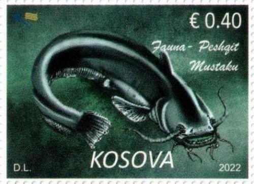 Kosovo Stamps 2022. Fauna: Fish. Trout, eel, catfish. Definitive stamp. MNH
