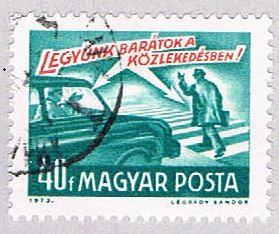 Hungary Pedestrian 40 (AP102704)