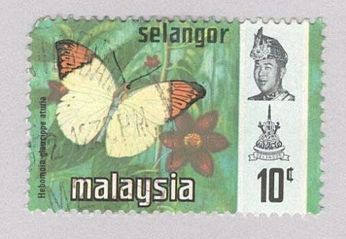 Malaysia Selangor 132 Butterflies Used 1 (BP98321)