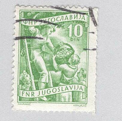 Yugoslavia 382 Fruit Growing Used (BP95127)