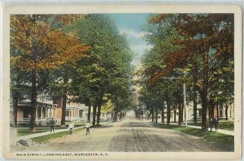 New York Worcester Main St Looking East Tree Lined Unpaved Road w/Old Hous~284