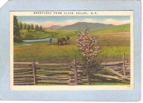 New York Clove Valley Greetings From Clove Valley N Y ny_box4~2058