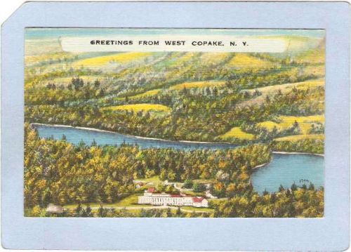 New York West Copake Greetings From West Copake ny_box3~1219