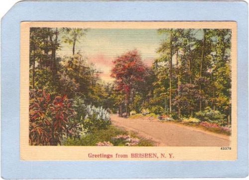 New York Brisben Greetings From Brisben ny_box3~1113