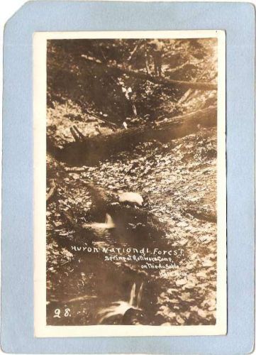 New York Ausable Chasm Huron National Forest Sprinpat Rollways Camp Photo ~1539