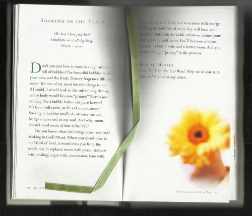 Daily Wisdom for Mothers - beautiful gift for any mother with children at home!