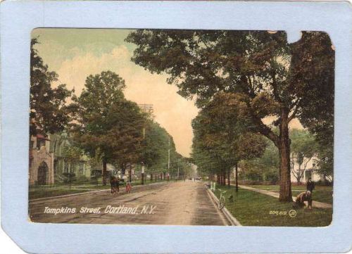 New York Cortland Tompkins Street Street Scene w/Horse & Wagon ny_box3~1258