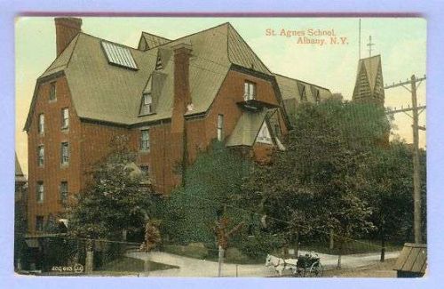 New York Albany St Agnes School View Of Large Tree Shrouded School w/Horse~4