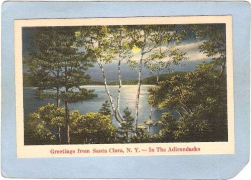 New York Santa Clara Greetings From Santa Clara N Y ny_box5~1908